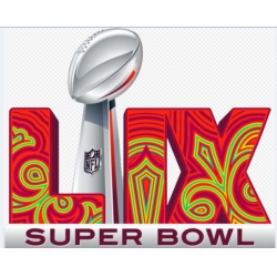 2024 2025 Philadelphia Eagles NFL Super Bowl Patch Biaog