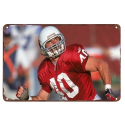 Arizona Cardinals Aluminum Sign 12x8 Inch Pat Tillman 005